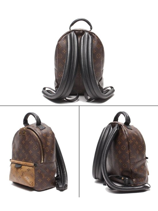 Louis Vuitton Backpack Palm Springs PM Monogram main image 10
